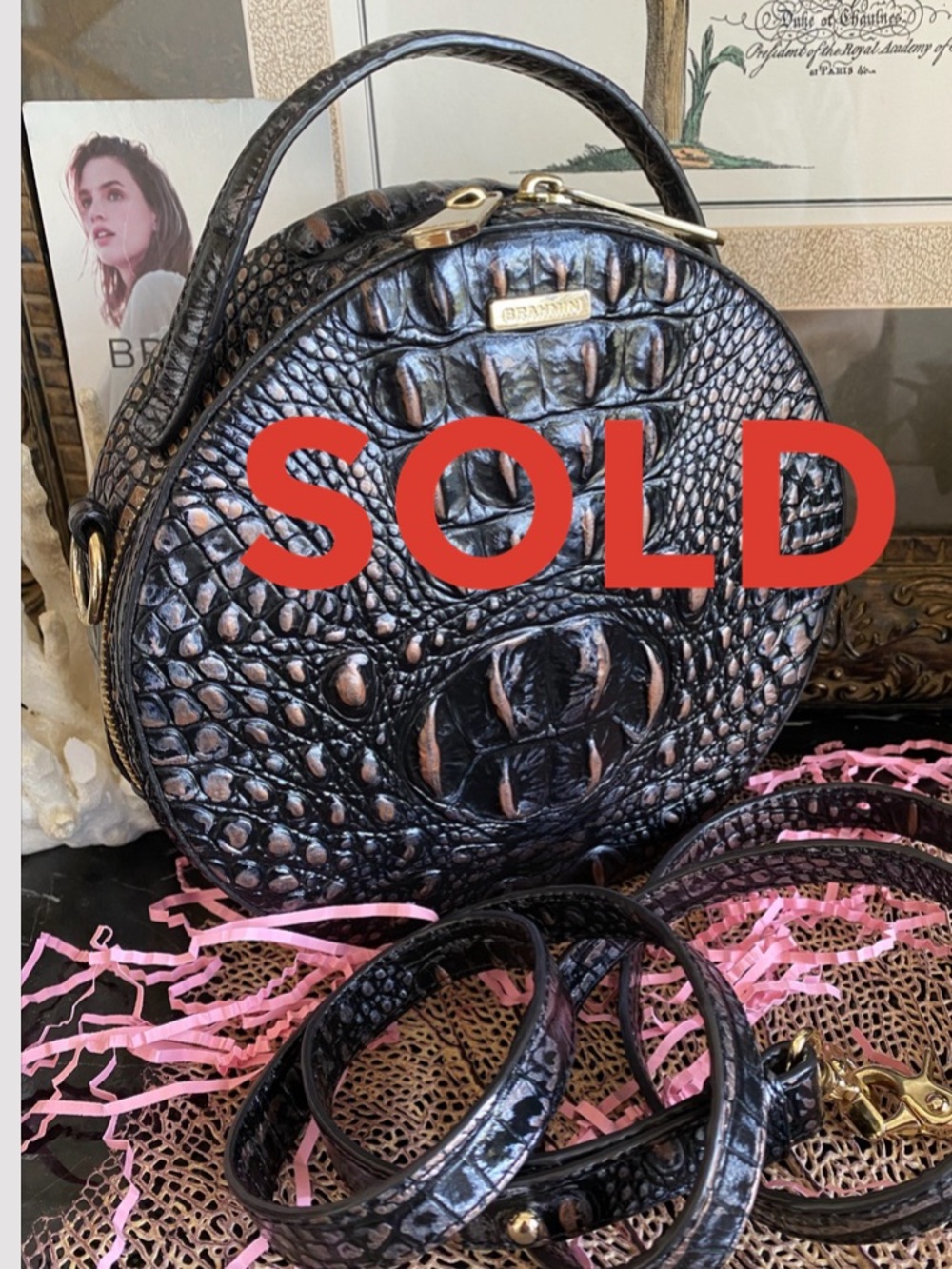 🚫SOLD🚫Brahmin